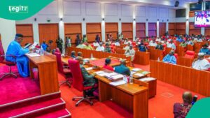 Full List: Names, states, parties of 121 women contesting for Senate seats in 2027