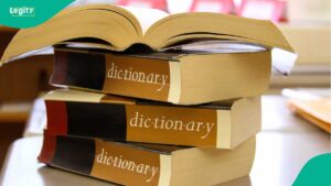 US dictionary adds fresh 1,400 words including glow-up, looksmaxxing and meme coin