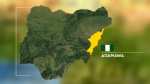 Boko Haram Invades Adamawa Community, Kills residents, burn down Houses