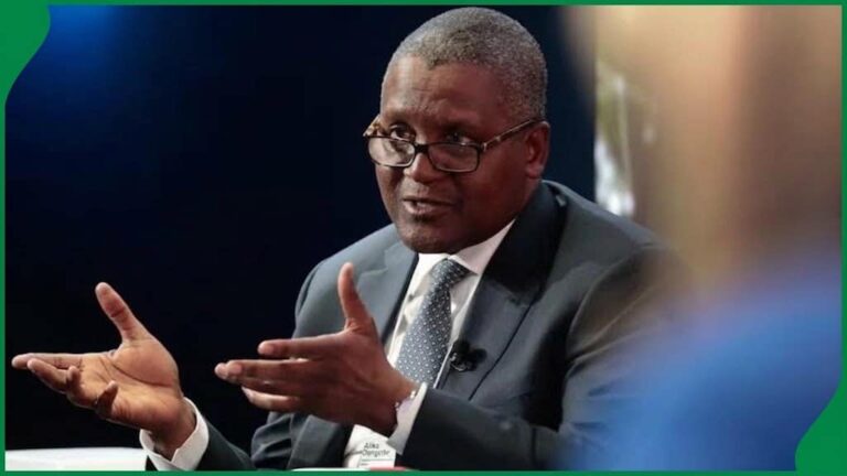 IPO: ‘If You Invest ₦100k, You Could Become A Millionaire In One Or Two Years’ – Dangote