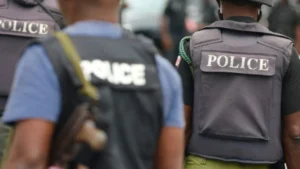 Bauchi police arrest four over alleged rape, theft In Azare, Katagum