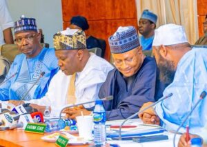 2027: Northern governors rally support for Tinubu, urge grassroots mobilisation