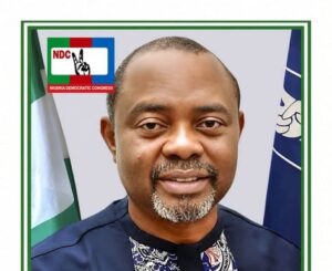 NDC condemns attack on members in Enugu