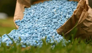 Nigeria’s fertilizer use stuck at 15kg per hectare, far below ECOWAS target