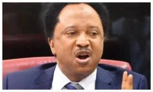 ‘Political strategy’ – Shehu Sani reacts to viral video of kidnapped Kaduna family